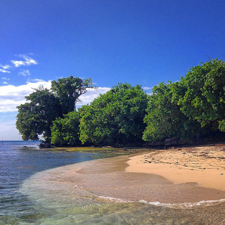 Caribbean
